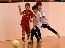 mini-2017-01-29-DSC_4247